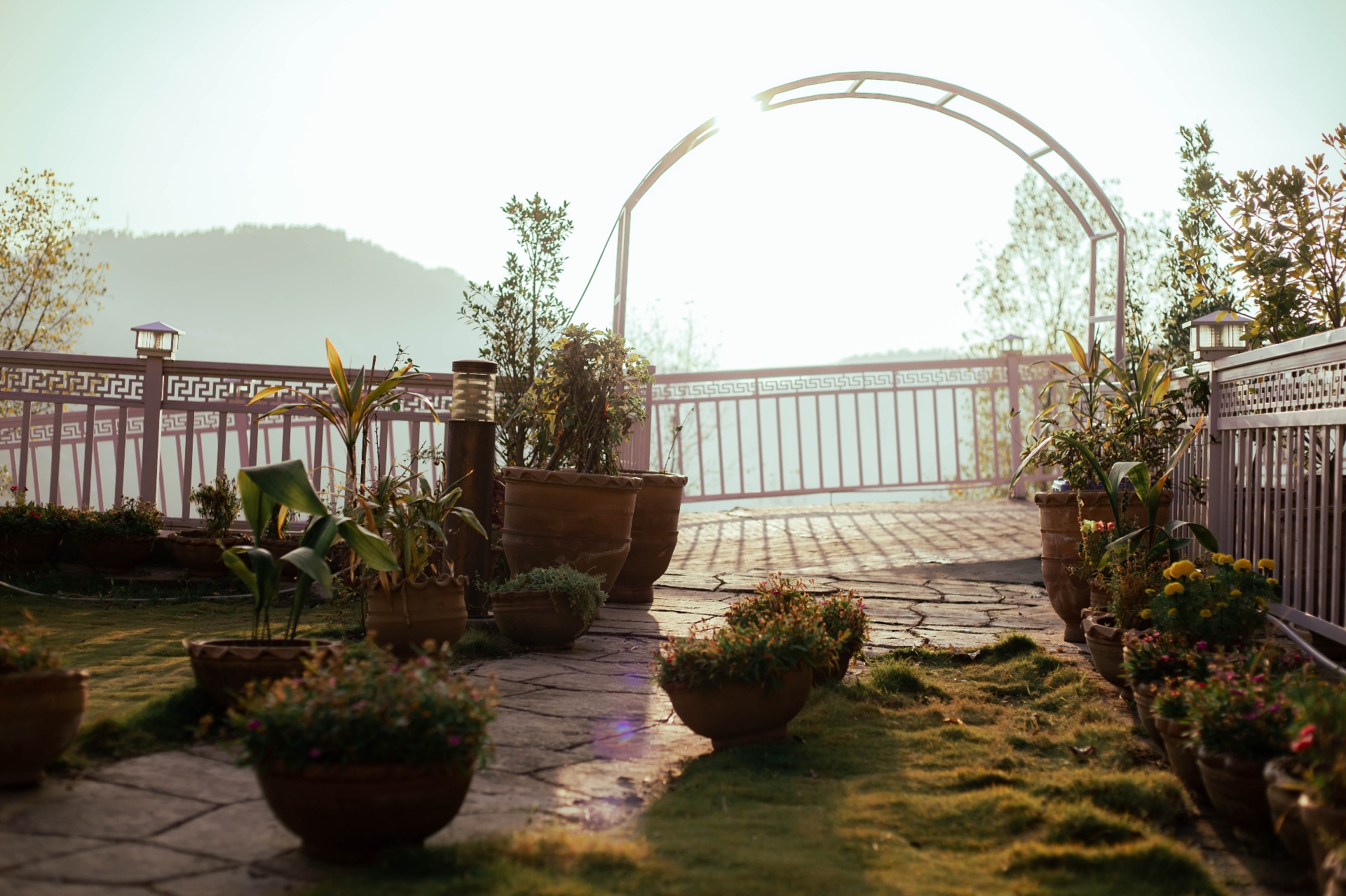 Peaceful nature walk trail surrounded by dense pine trees in Bhurban Murree